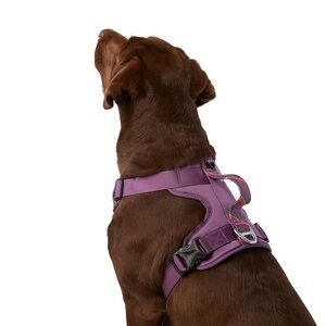 Arcadia Trail Neoprene Dog Harness